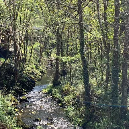 Casa Pilar Casa Llara, En El Paraiso, Cerca De Todo * Ujo